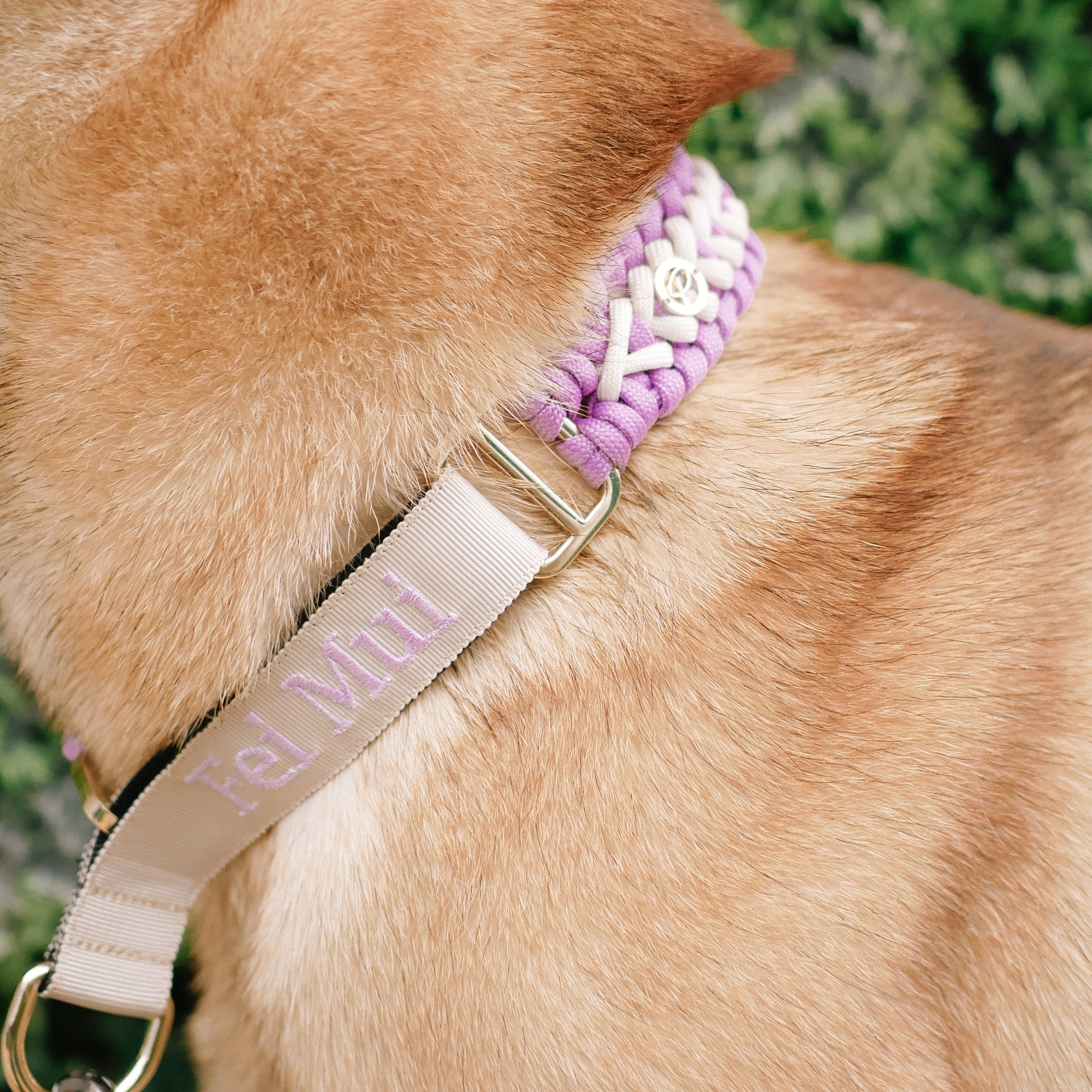 2024 Spring Collection - Paracord Name Collar | Martingale