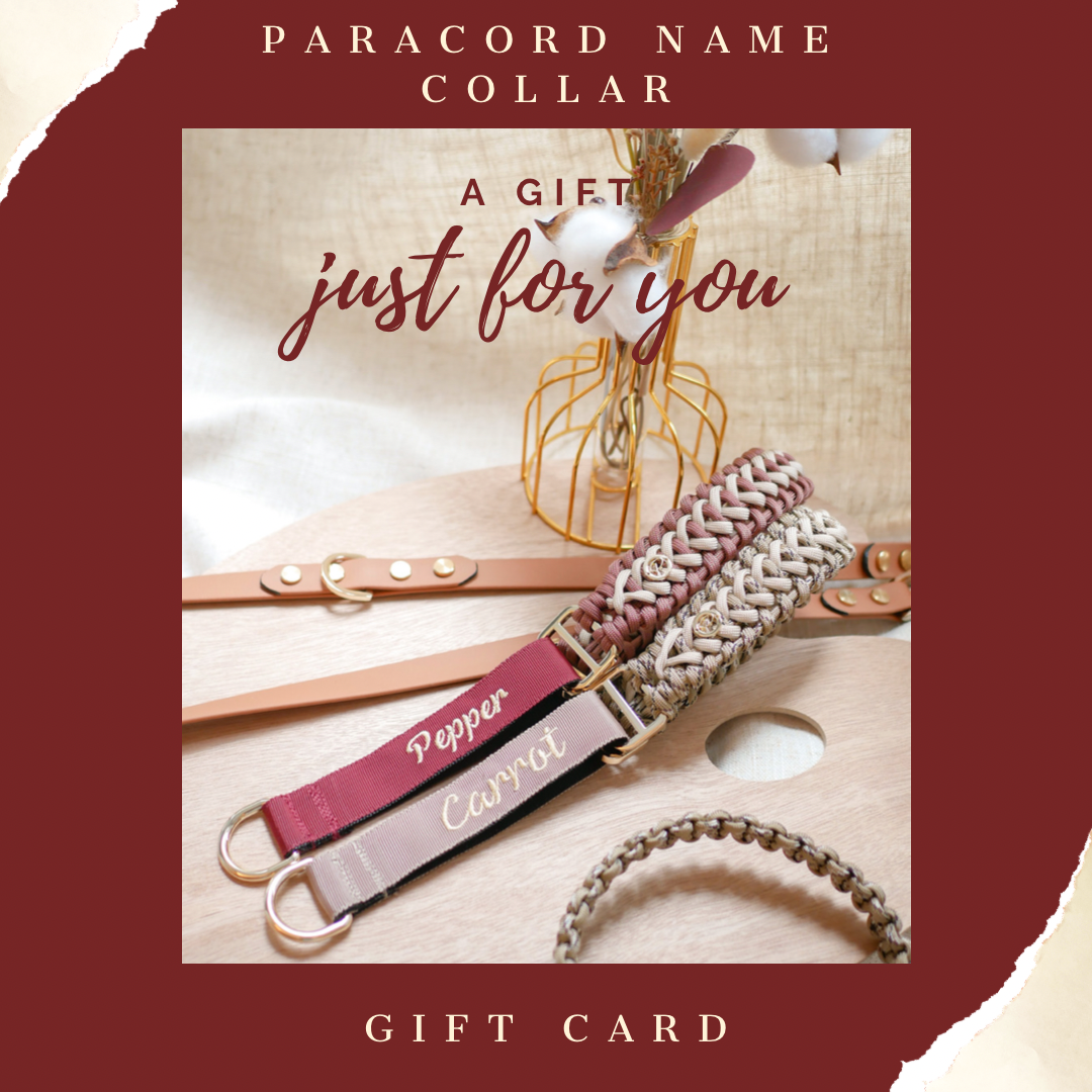 Paracord Name Collar Gift Card